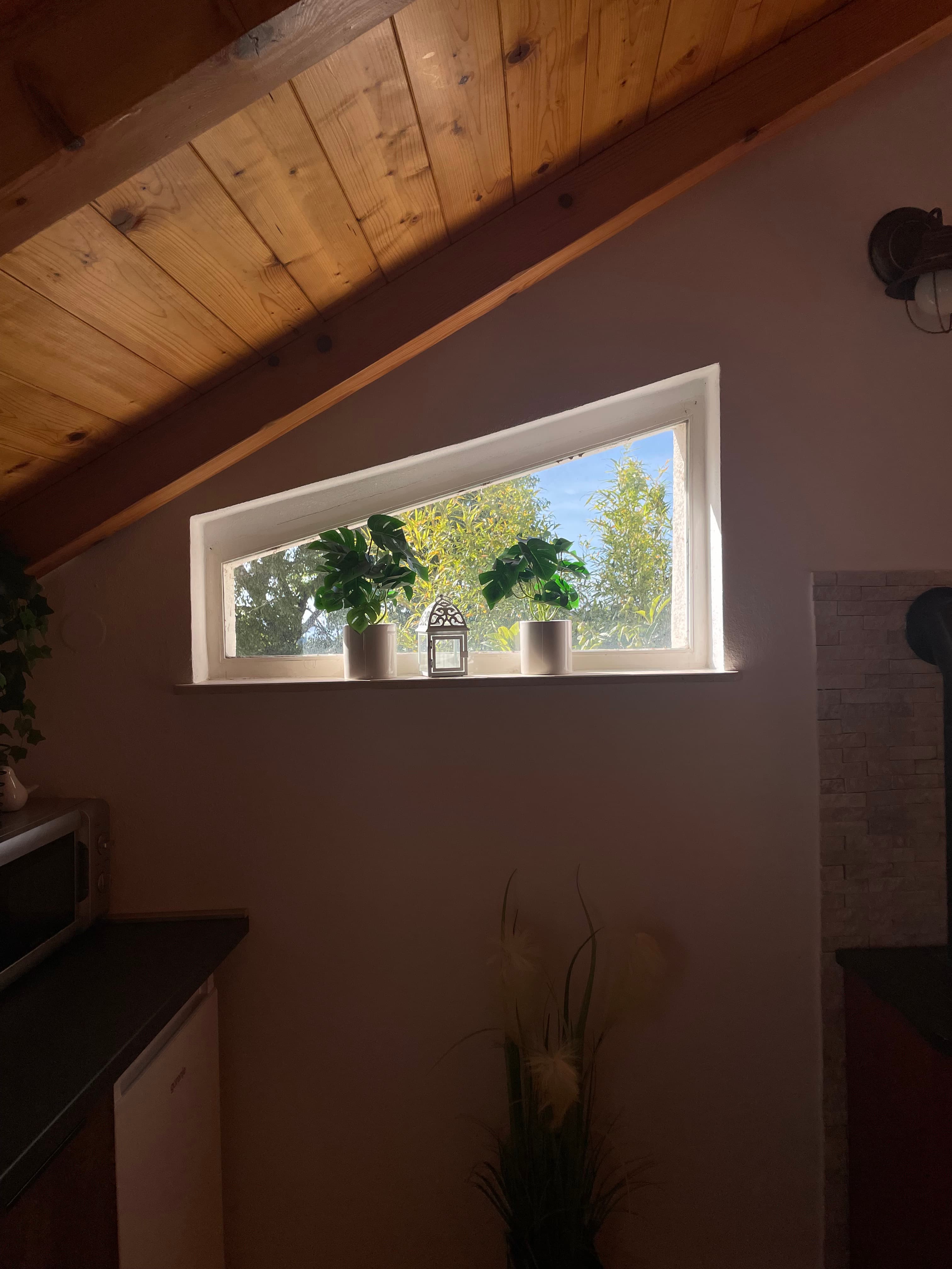 Krovni prozor sa svježim zelenilom, drvenim gredama i prirodnim svjetlom — detalj koji daje karakter apartmanu