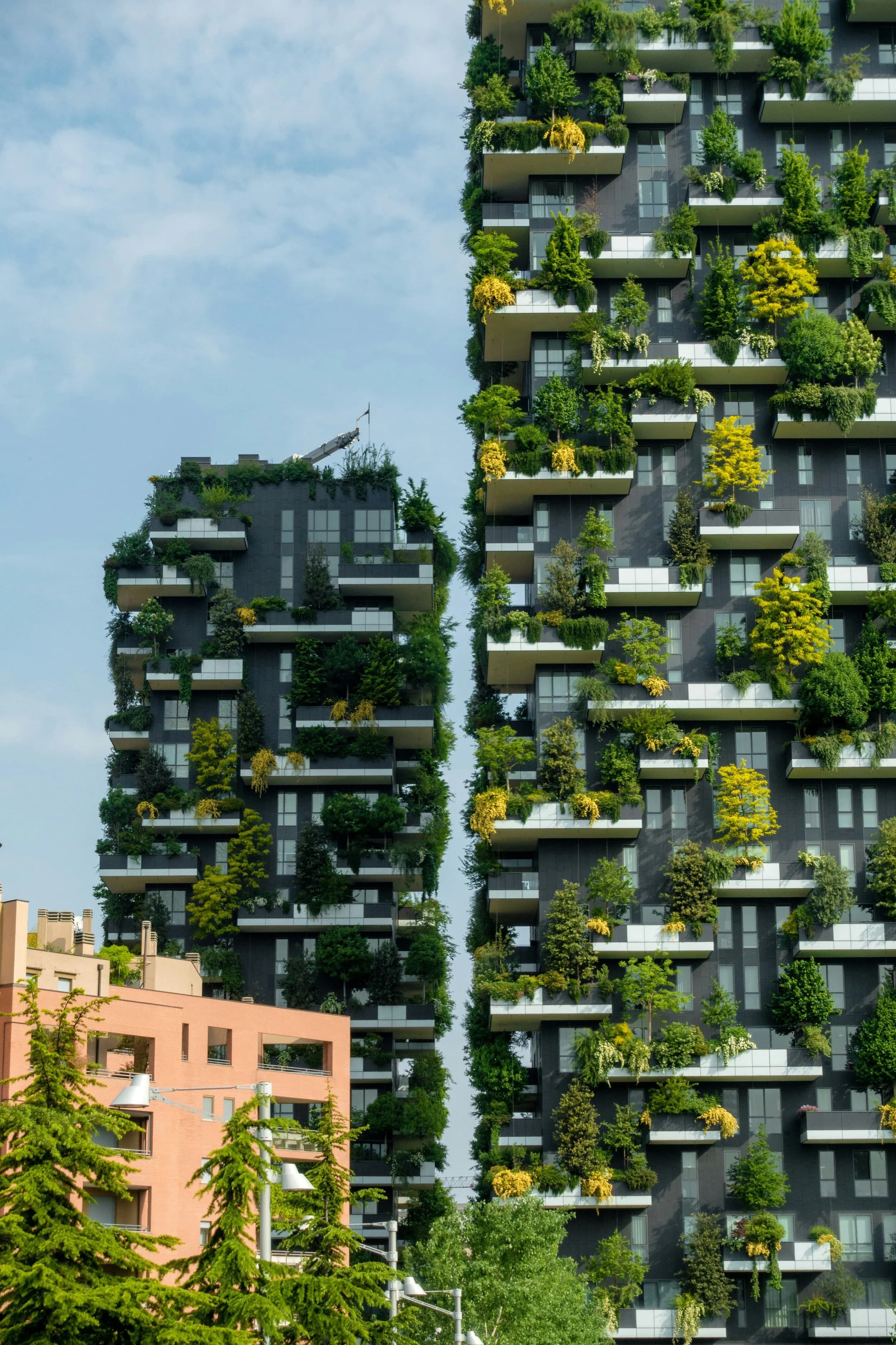 Biophilic design: Kako arhitektura ponovno otkriva prirodu