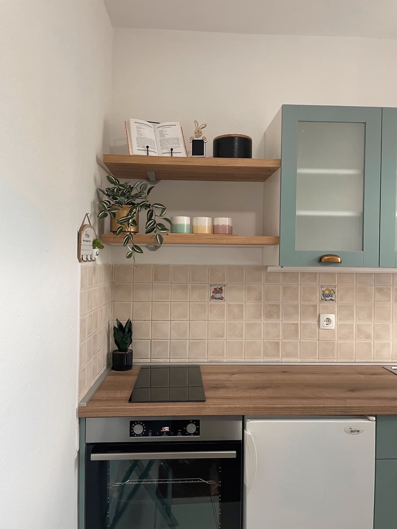 Mala opremljena kuhinja u apartmanu sa zelenim ormarićima, otvorenim policama, pećnicom i hladnjakom